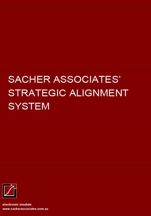 Strategic alignment system EBook